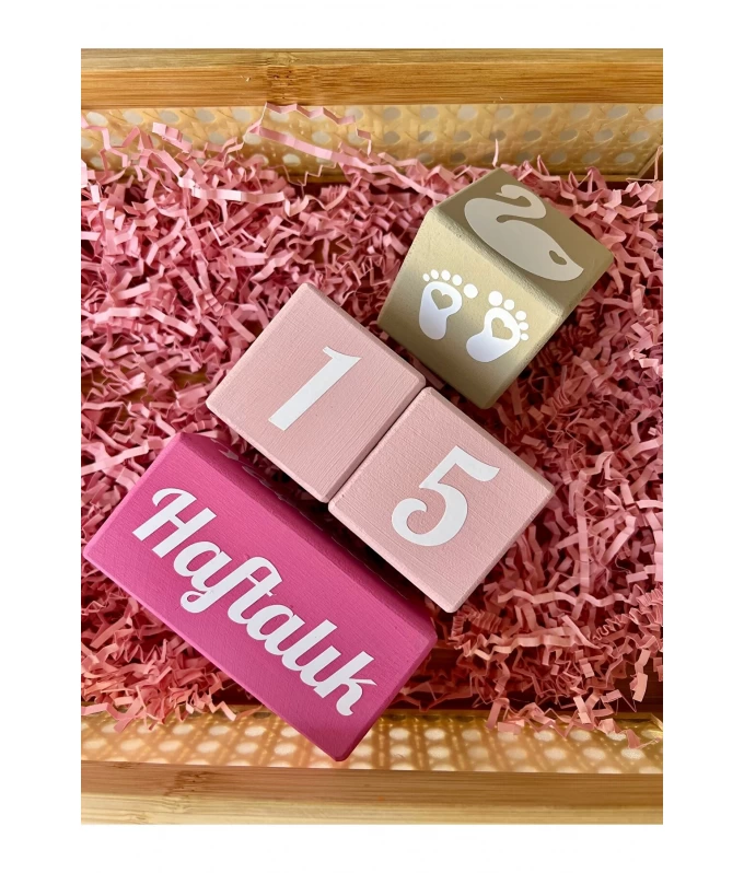 Mor pembe kalpli hello world yazılı Anne bebek Anı Küpü Seti